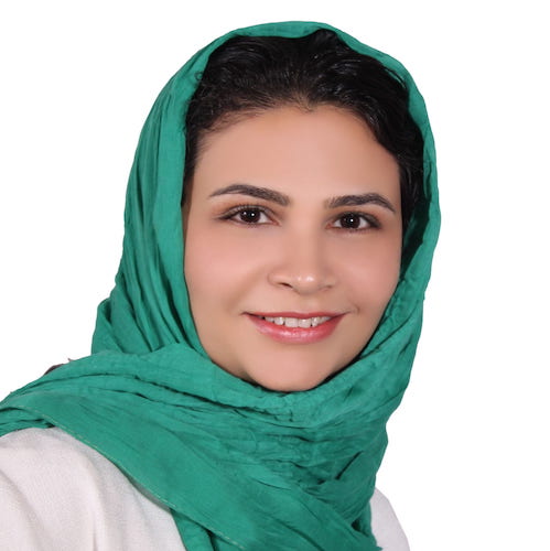 Portrait of Dr. Akram Bayat