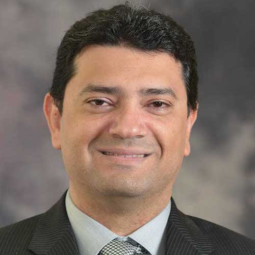 Photo of Maged Elaasar